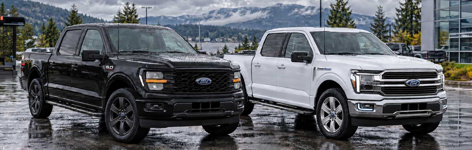 Ford F-150 5.0L V8 and PowerBoost hybrid trucks side by side.